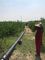 Sistema de Irrigação de Abastecimento de Água de Tubulação Poli Rural 40mm 50mm